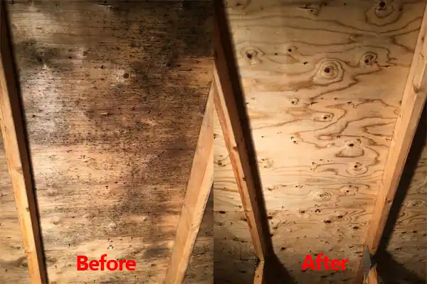 water damage restoration service Oakville
